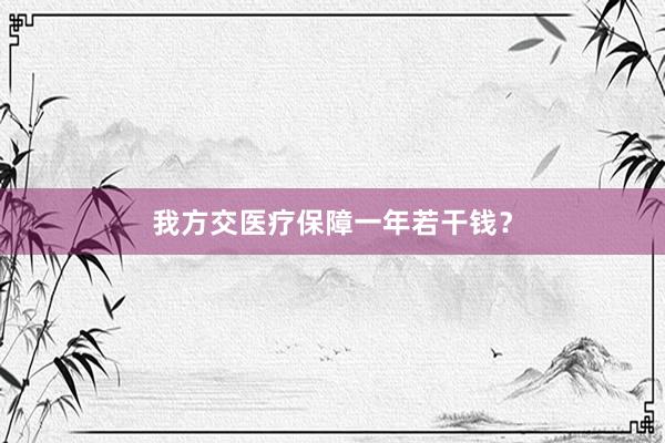 我方交医疗保障一年若干钱？