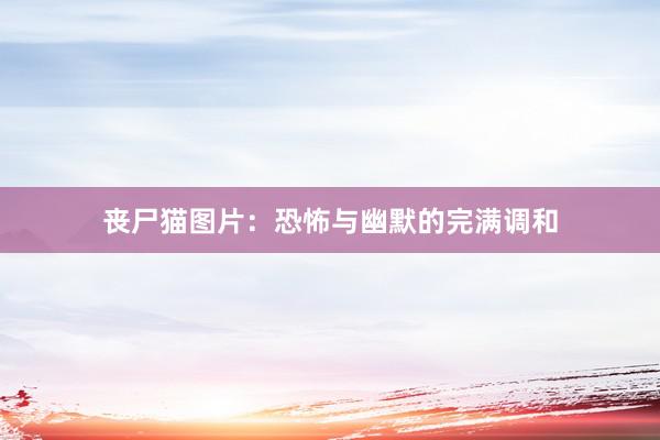 丧尸猫图片：恐怖与幽默的完满调和
