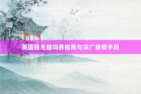 英国短毛猫饲养指南与深广督察手段