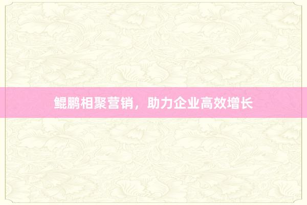 鲲鹏相聚营销，助力企业高效增长